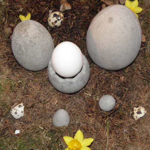 Leuke kleine eierdop/bloempotjes van beton in de vorm van een ei